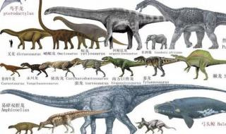 恐龙分几种
